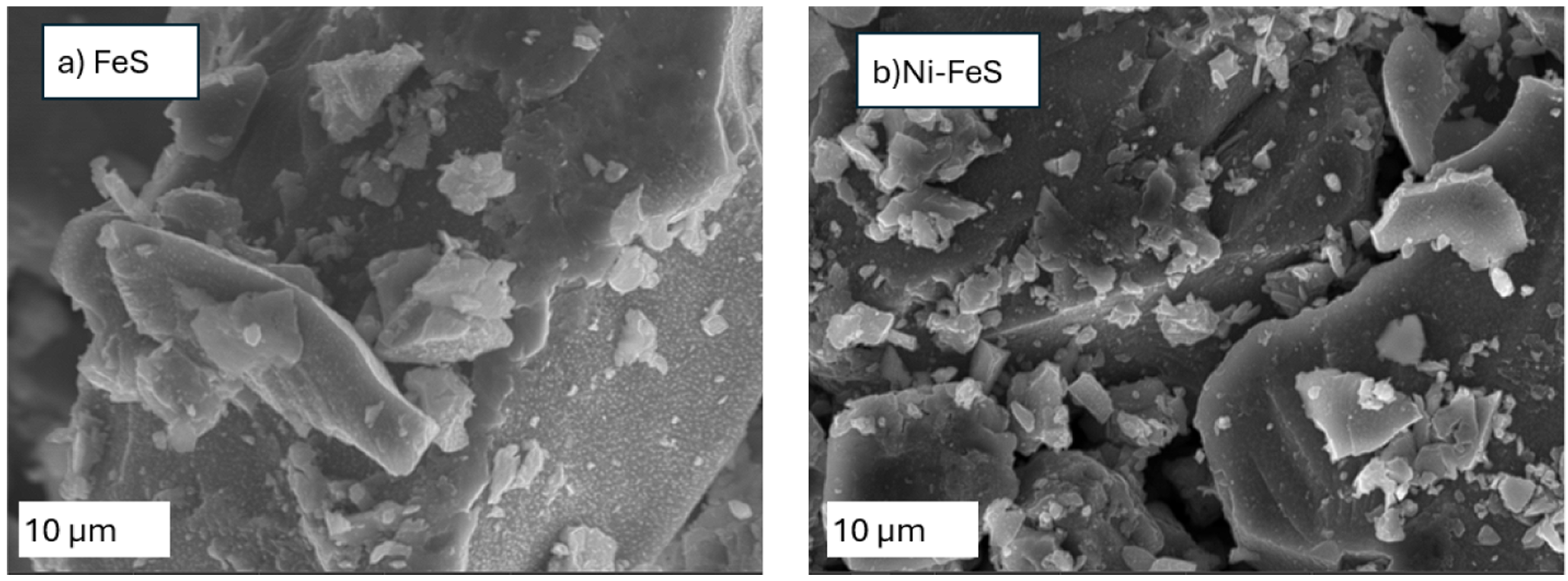 SEM secondary-electron images of (a) FeS and (b) Ni-FeS synthetic minerals, produced using the same procedures as those used in our experiments.