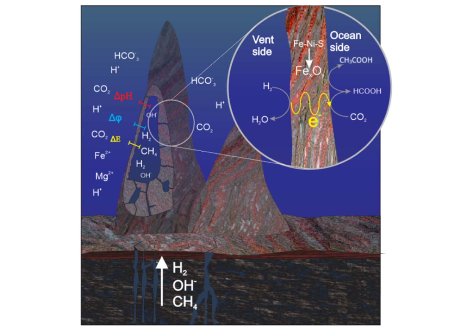 Sketch of the free-energy transfer mechanism from natural gradients at the early vent–ocean interface to drive the energy protometabolism, a candidate seed to the chemiosmosis’ emergence on early Earth.