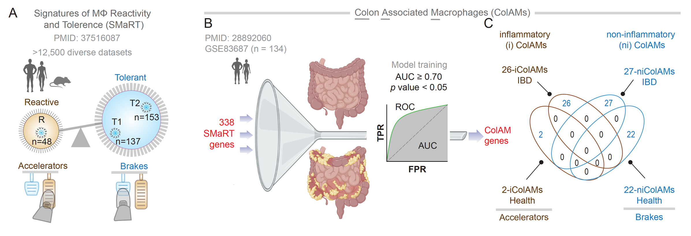 Identification of CCDC88A as a putative NOD2-modulator in IBD-associated macrophages.