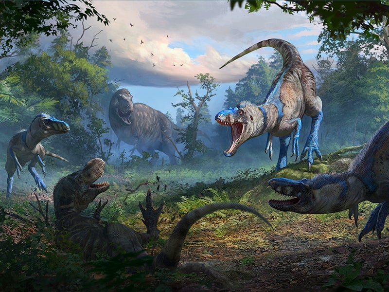 For years, scientists have debated whether the smaller fossils found alongside Tyrannosaurus rex represent a distinct, lesser-known species or simply the juvenile stages of the iconic predator.