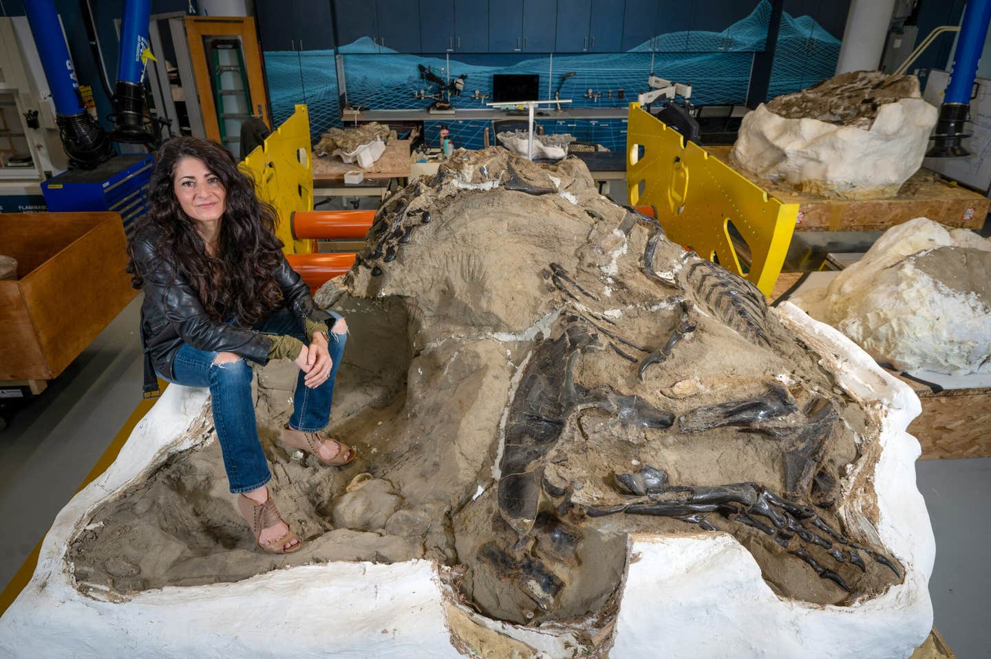 Lindsay Zanno, a paleontologist and research professor at North Carolina State University who also leads the paleontology division at the North Carolina Museum of Natural Sciences, stands beside the famed Dueling Dinosaurs fossil.