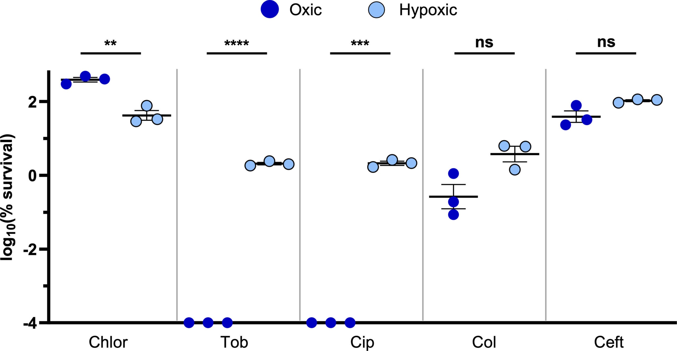 P. aeruginosa exhibits antibiotic recalcitrance under hypoxic conditions.