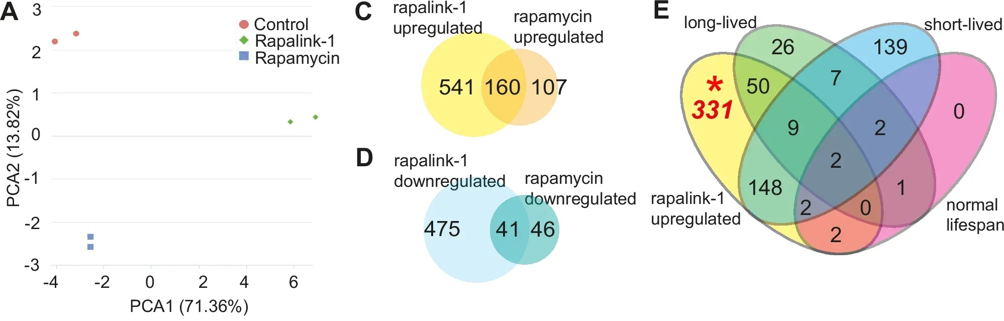 Gene expression analysis following rapamycin and rapalink-1 treatment reveals novel genes involved in chronological ageing.