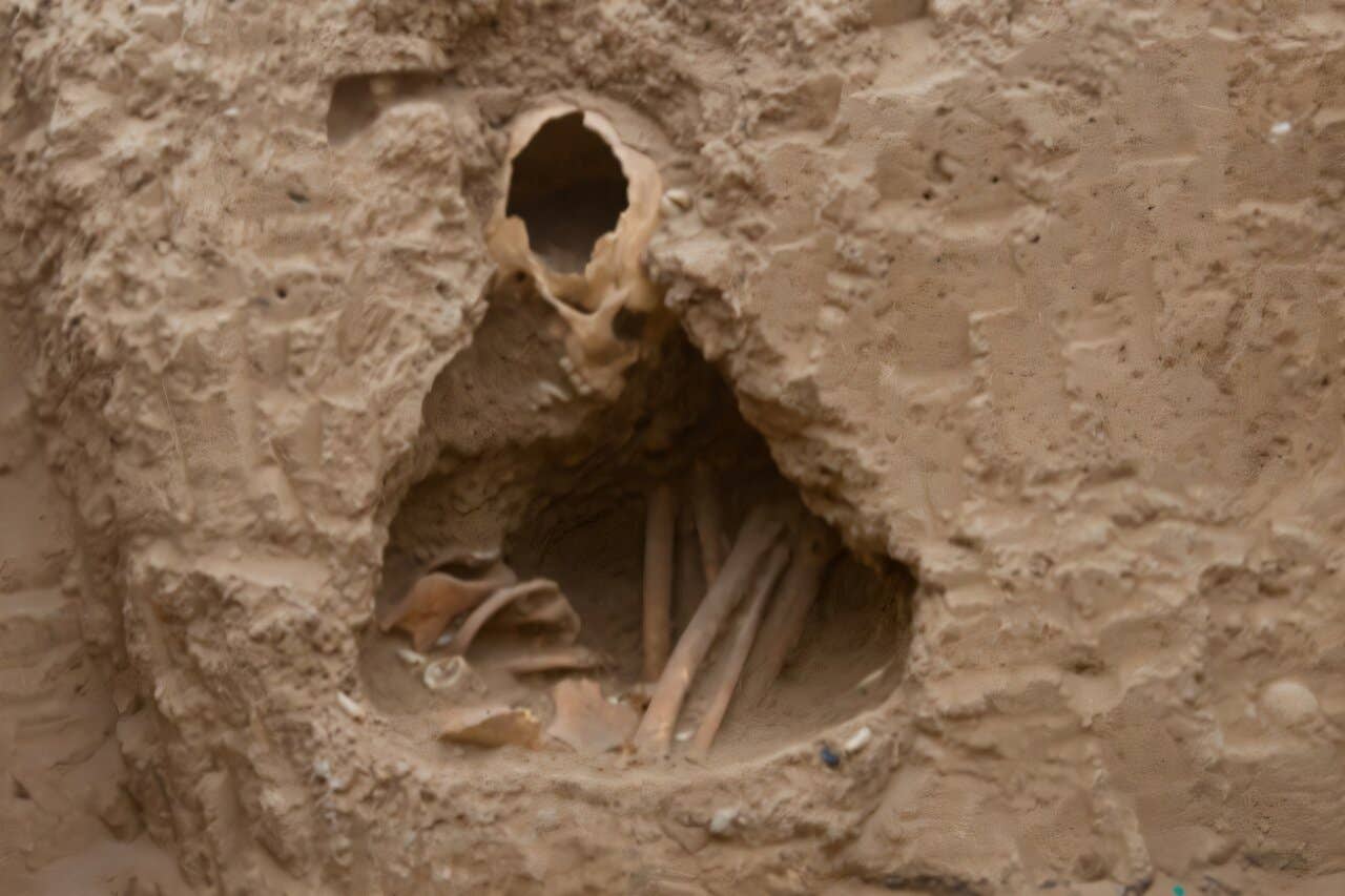 One of the burials found at the Neolithic site of Tell Halula in Syria.