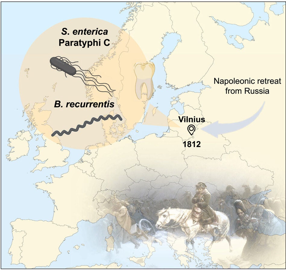 Graphical abstract. During Napoleon’s retreat from Russia in 1812, countless soldiers of the French army succumbed to infectious diseases.