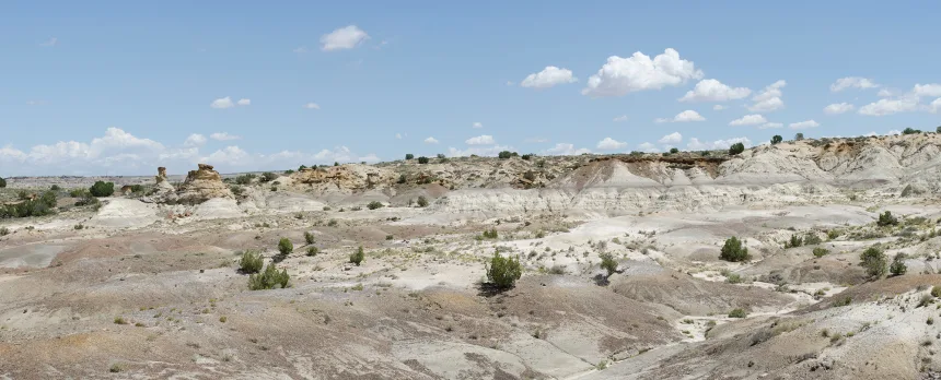 Rock layers in the San Juan Basin preserve a detailed record of when dinosaurs roamed the land and early mammals began to appear.