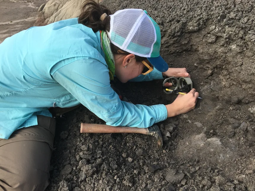 Geologist Caitlin Leslie gathers rock samples from a San Juan Basin layer that marks the era when mammals once thrived in what is now New Mexico.