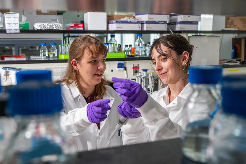 In the Balbach lab, researchers like graduate student Macy Jenks (R) are helping push the boundaries of reproductive metabolism.