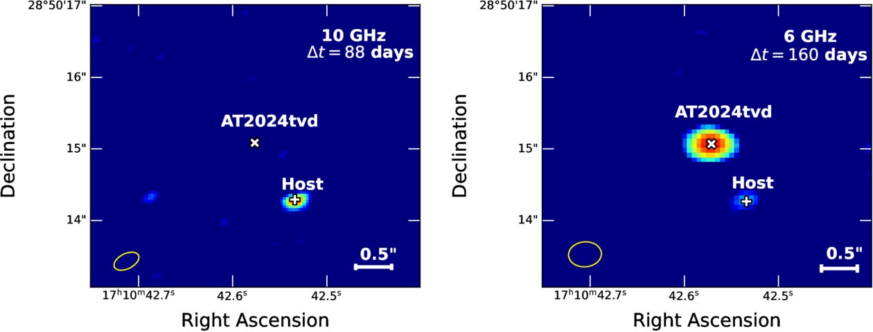 Radio images of the field of AT 2024tvd.