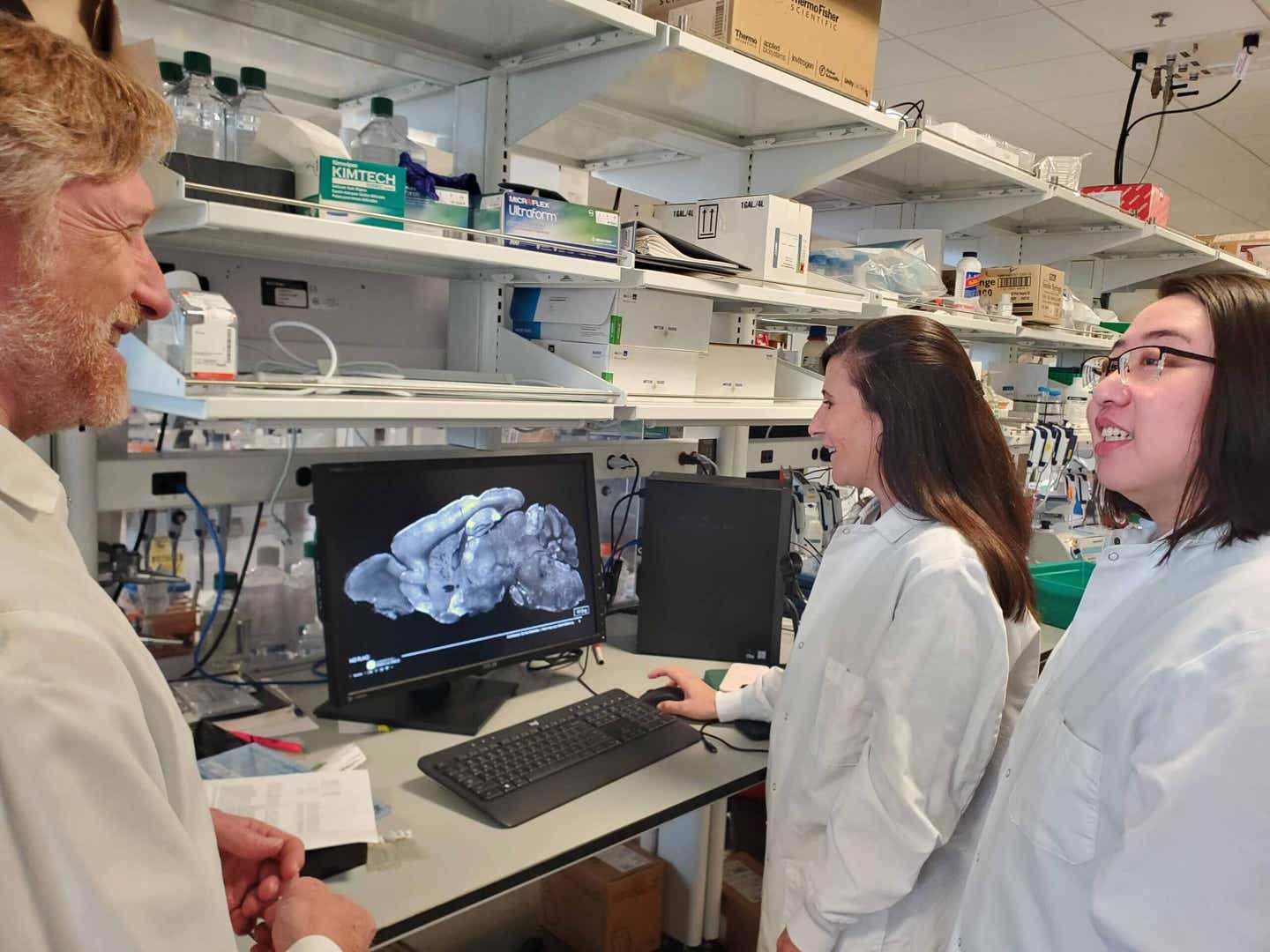 Scientists used a viral gene therapy to restore brain function in mice with SYNGAP1-related disorders, reducing seizures and behavioral symptoms
