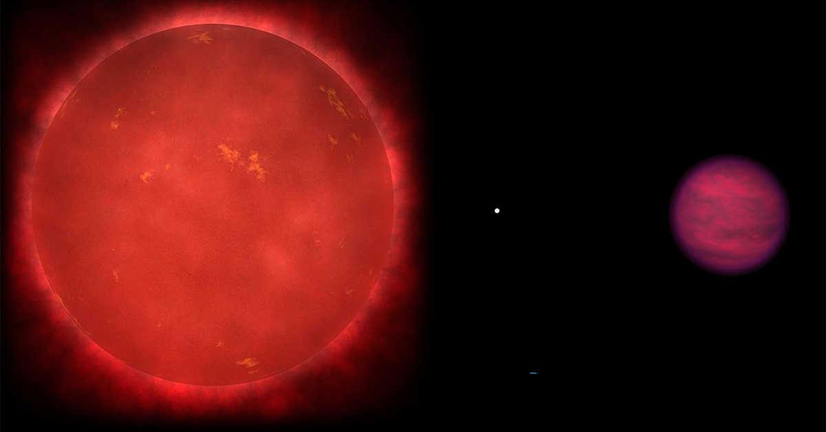 JWST finds phosphine gas on ancient brown dwarf star Wolf 1130C.