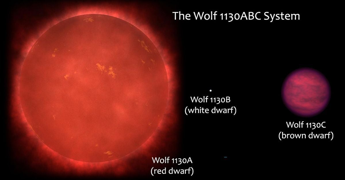 Schematic of the Wolf 1130ABC triple system, composed of the red dwarf star Wolf 1130A, its close and compact white dwarf companion Wolf 1130B, and the distant brown dwarf tertiary Wolf 1130C. The three components of this system are shown scaled to their relative sizes. 