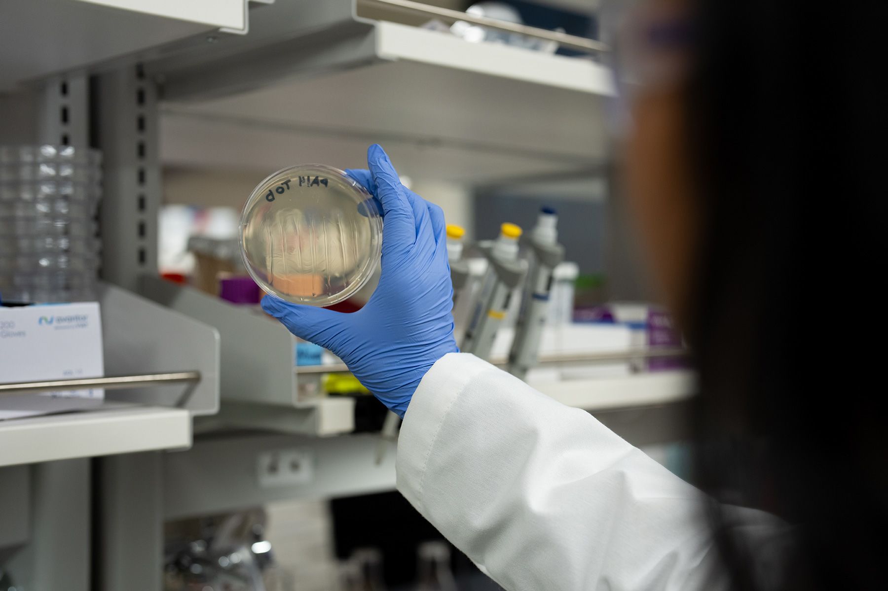 Melanie Spero’s lab is exploring how drug combinations can combat difficult-to-treat infections without necessitating the development of new antibiotics.