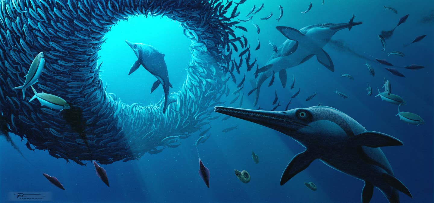 A long-snouted ichthyosaur fossil found on England’s Jurassic Coast fills a missing chapter in marine reptile evolution