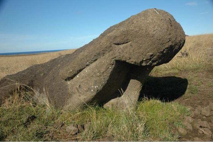 Example of a road moai that fell and was abandoned after an attempt to re-erect it by excavating under its base, leaving it partially buried at an angle. 