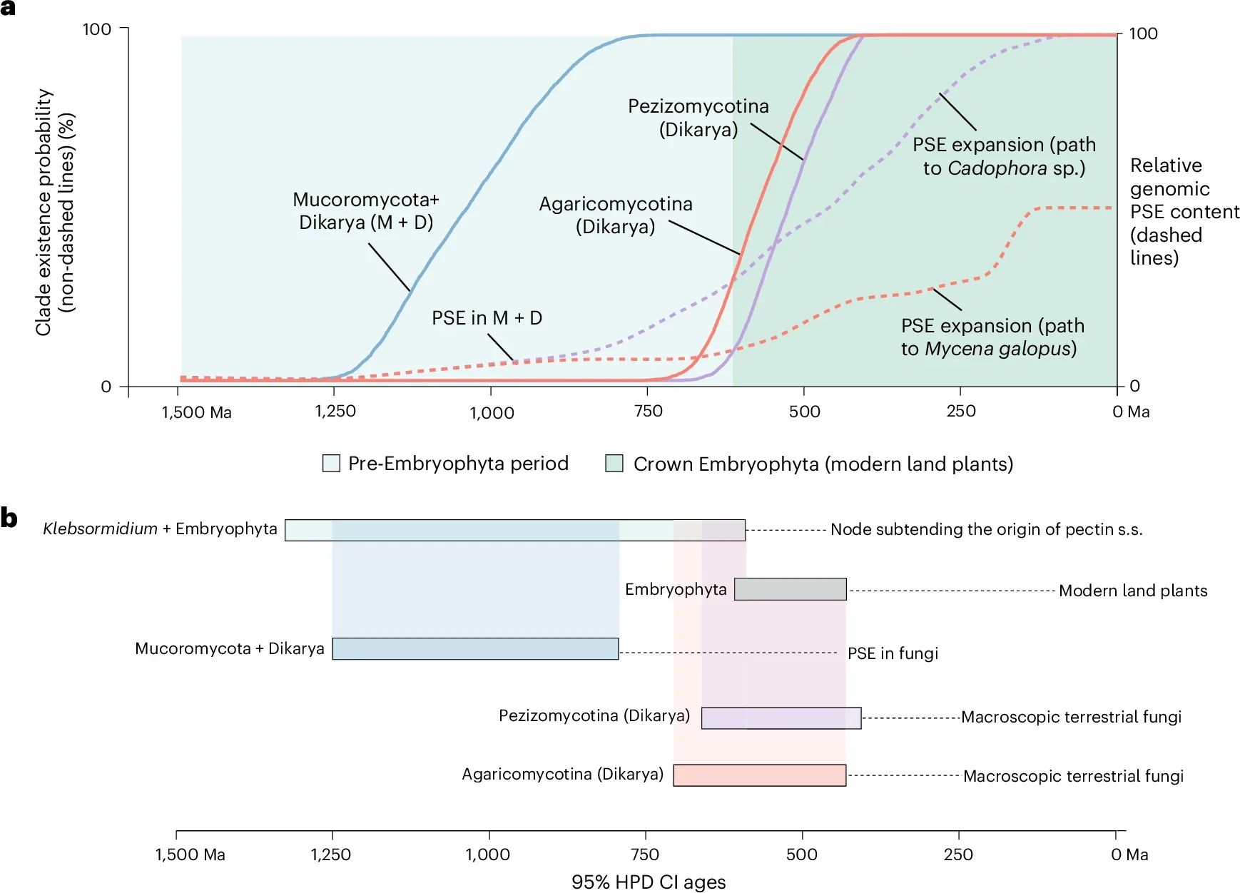 Evolutionary trajectory of PSE in Fungi.