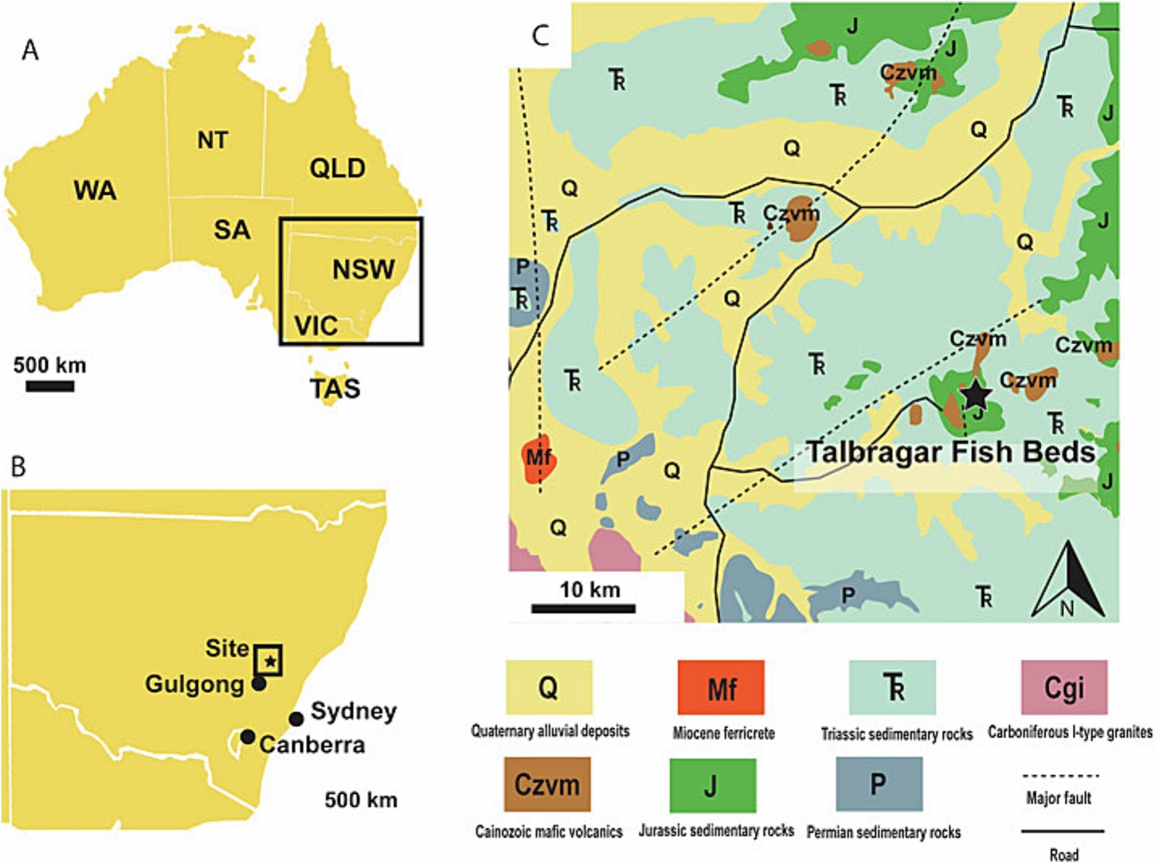 (A and B) Location of the site in New South Wales, Australia. (C) Local geology near the site showing Miocene ferricrete and extensive Mesozoic bedrock.