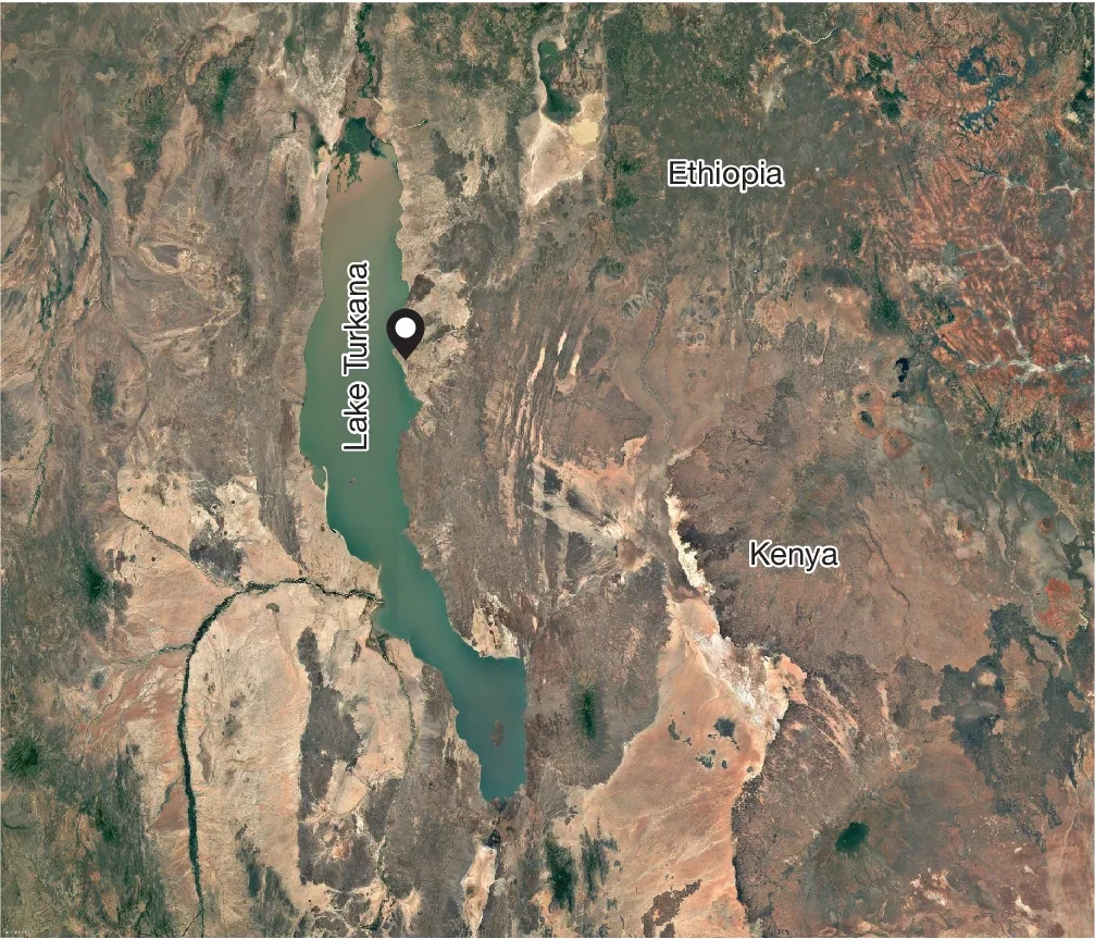 Satellite map of the Turkana Basin region indicating the geospatial location of the KNM-ER 101000 excavation site.