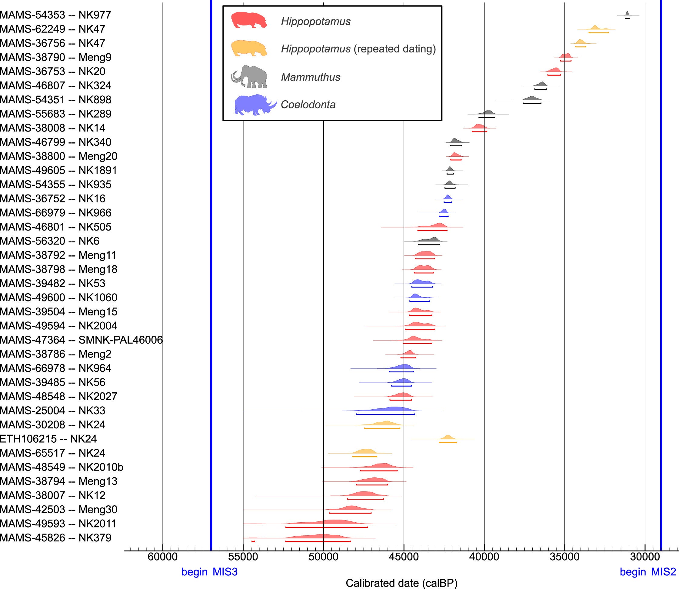 Temporal distribution of radiocarbon-dated fossil hippos, mammoths, and woolly rhinos from the Upper Rhine Graben