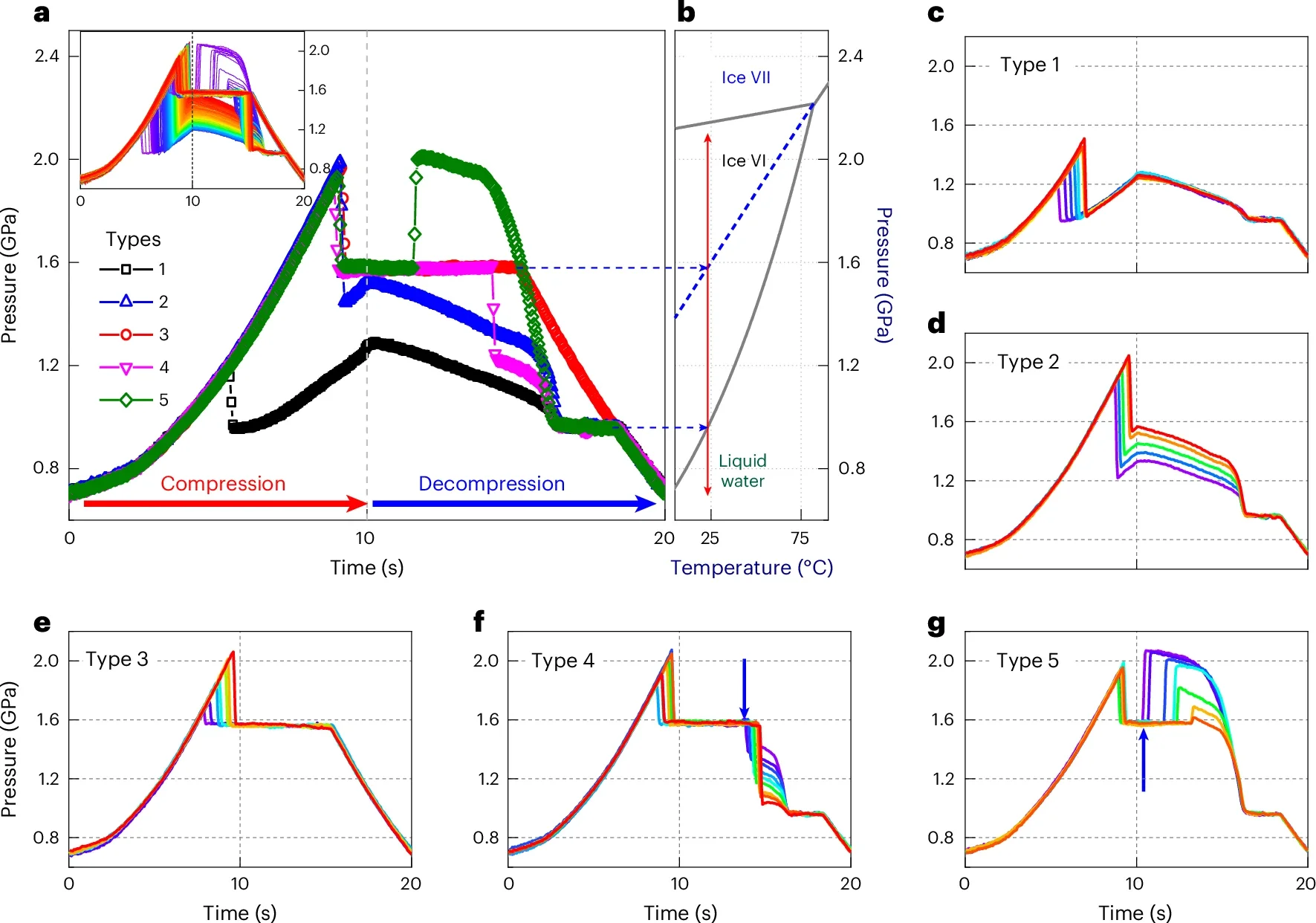 P–t curves during compression and decompression cycles.