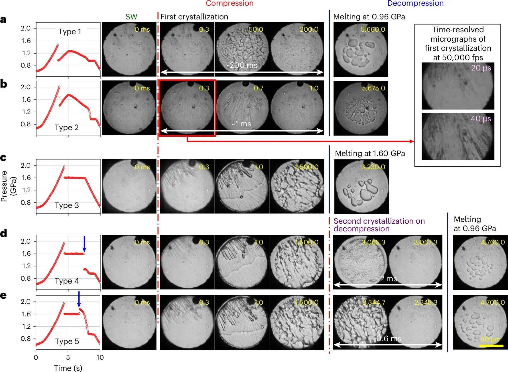 Optical images measured simultaneously with five types of P–t curve.