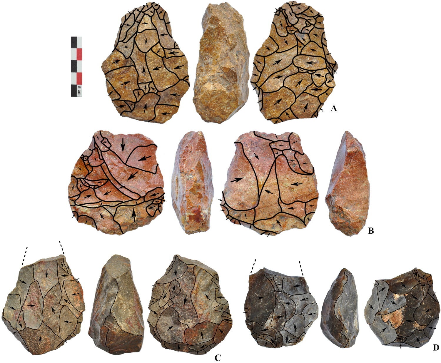 Large cutting tools. A handaxe from Şirinkent I (A); A cleaver from Şirinkent I (B); Handaxes with broken distal ends from Sahilkent (C and D).