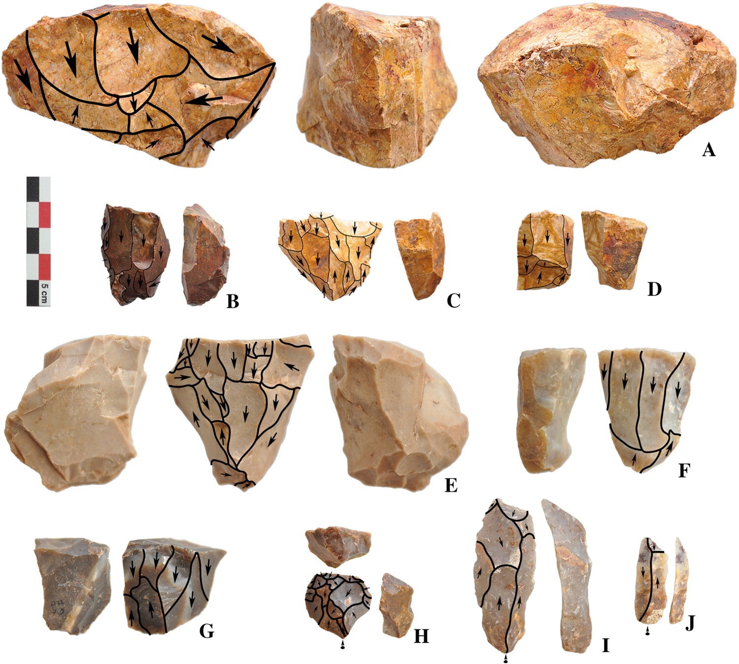 Blanks and retouched tools. Sahilkent (A); Şirinkent II (B–F); Armutçuk (G–I); Atatürk Koruluğu (J and K); Eski Altınova Yolu (L–N).