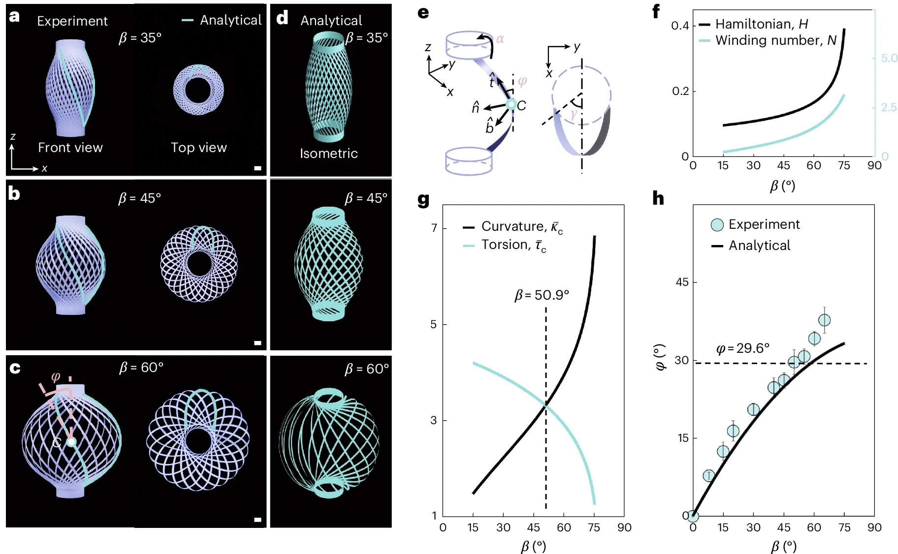 Snapping transition through the configuration and elastic energy yielded by β.