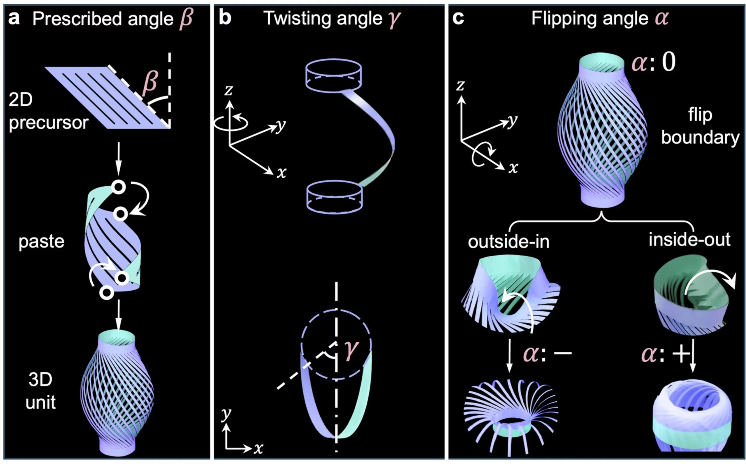 Assembly of multiple units for enriched snapping morphogenesis.