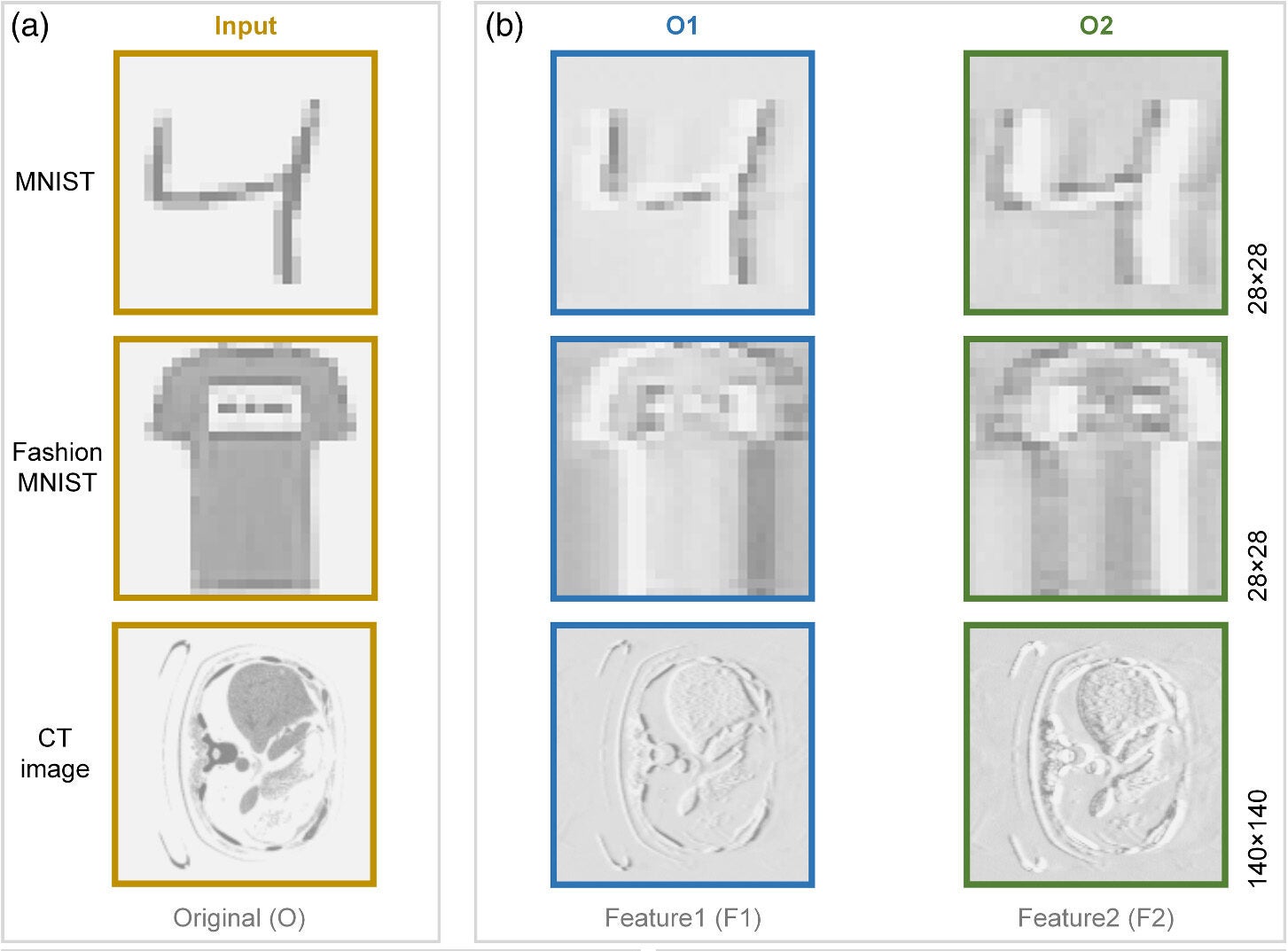 Application of the (Math Processing Error) in image-based tasks. (a) Original images from the dataset. (b) Feature maps generated by the (Math Processing Error).