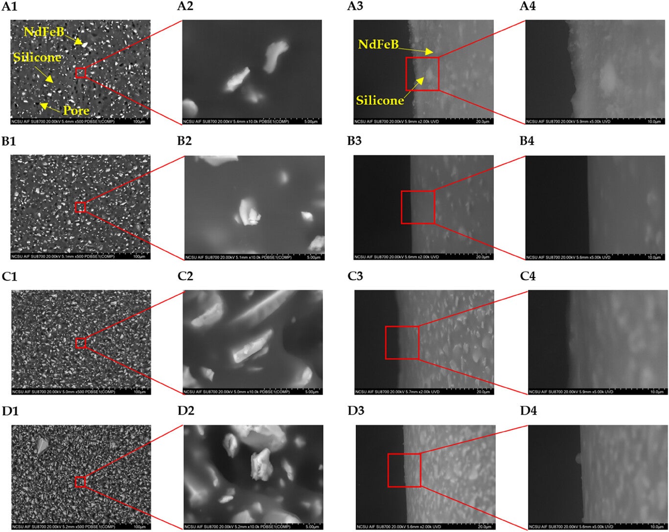 SEM images of the cross-section and surface of the magnetoactive films.