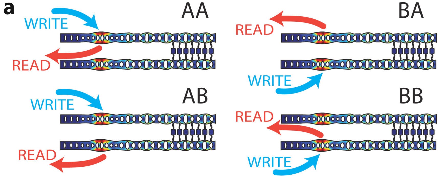 Different permutations of exciting and reading the two cavities.