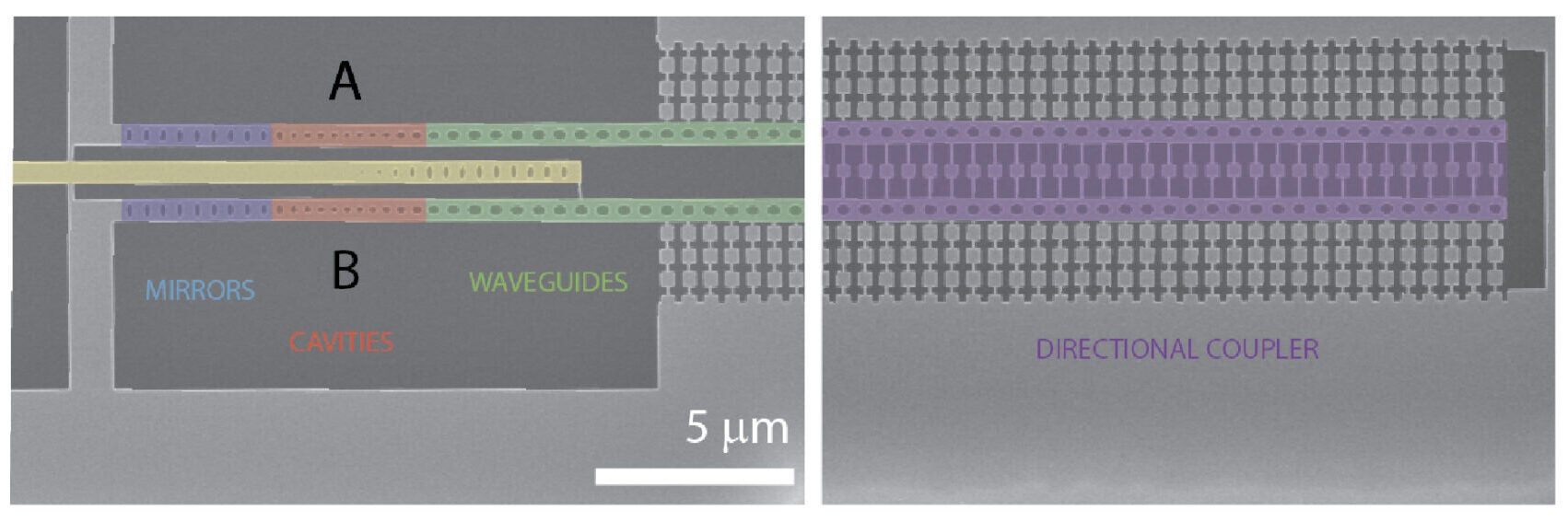 Scanning electron microscope (SEM) images of the fabricated device with false color highlighting of the different parts—the phononic and photonic mirrors (blue), the optomechanical cavities (red), the phononic waveguide (green), and the phononic directional coupler (purple).