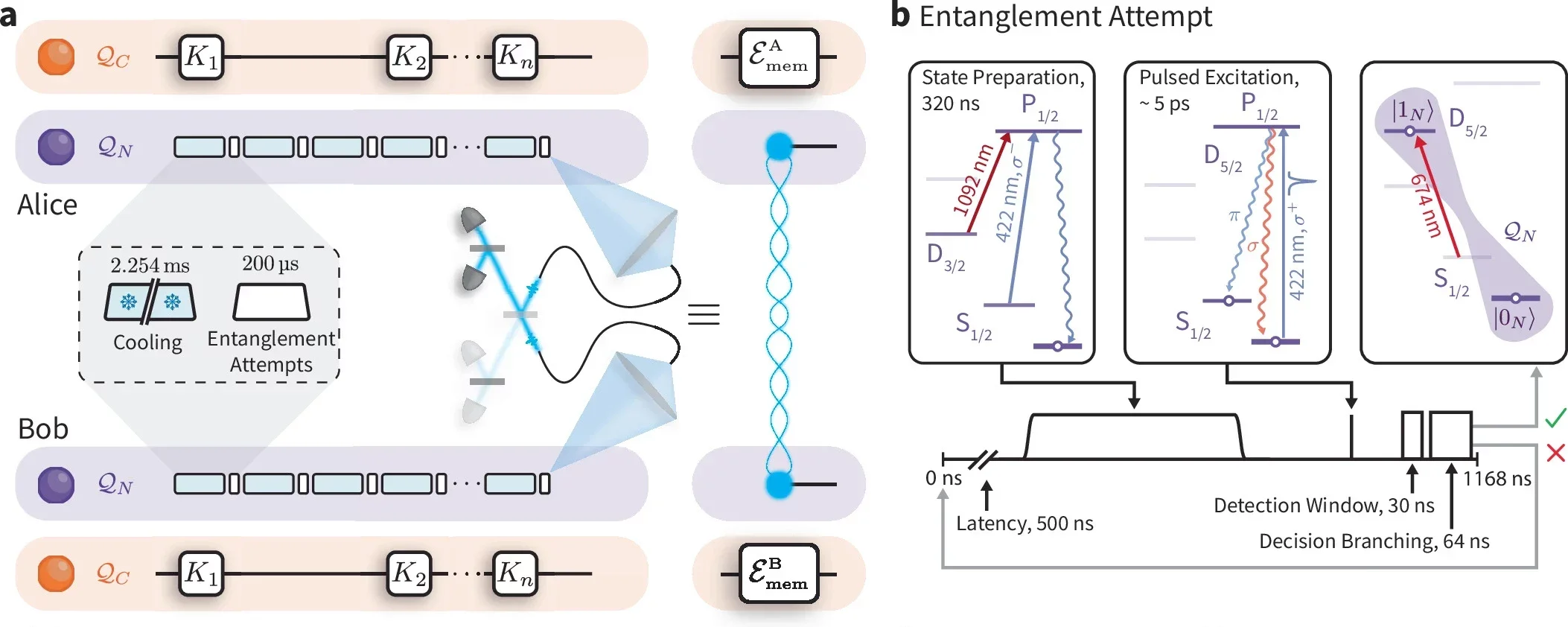 Generation of remote entanglement and robust memory of the circuit qubits.