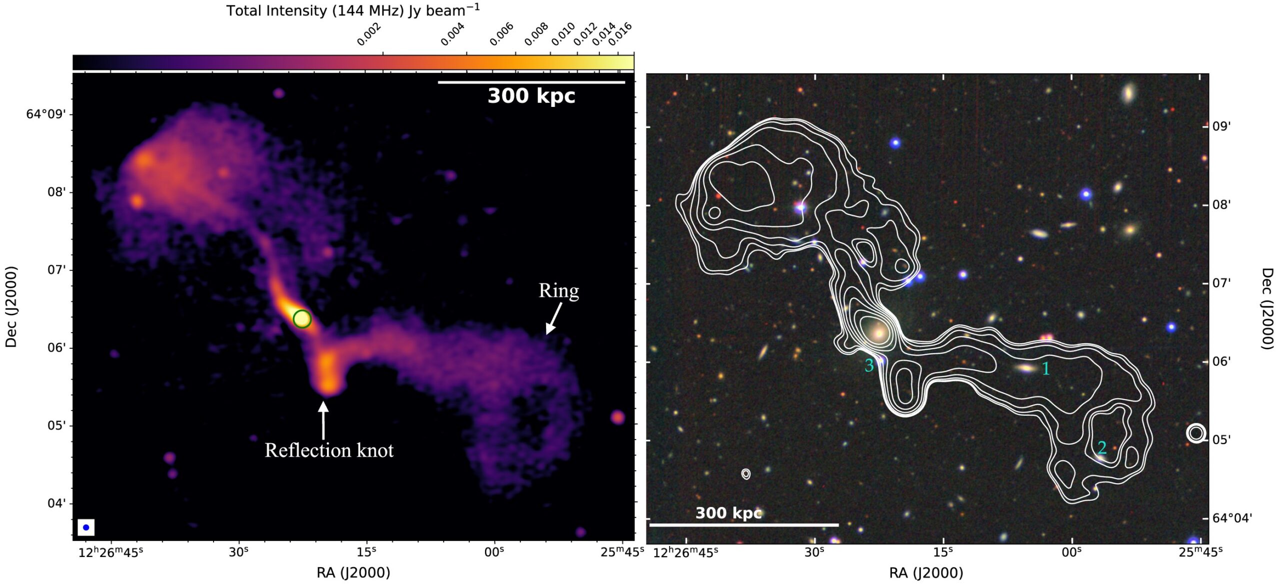 Left: LoTSS 6" radio image of RAD J122622.6+640622. Right: LoTSS 6 arcsec resolution radio contours. 