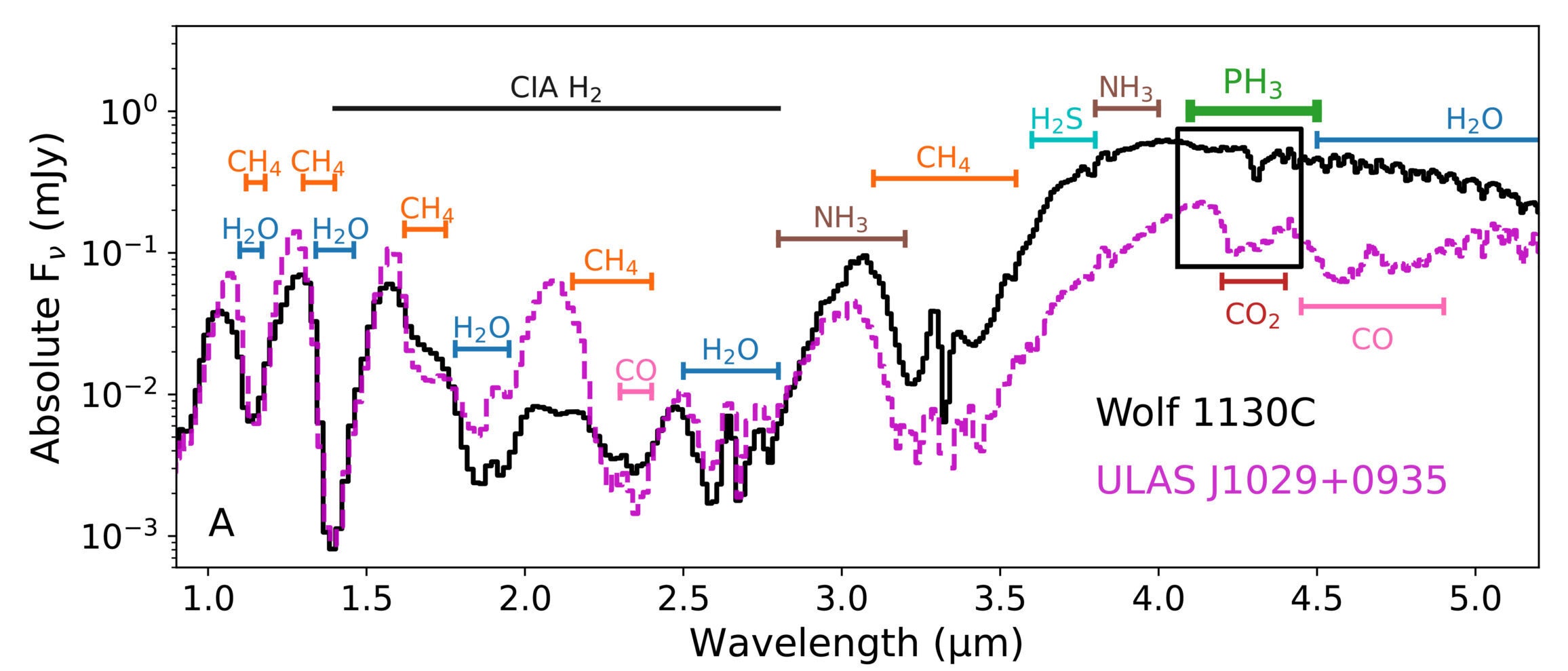 JWST NIRSpec spectra of Wolf 1130C compared to ULAS J1029+0935 and models.