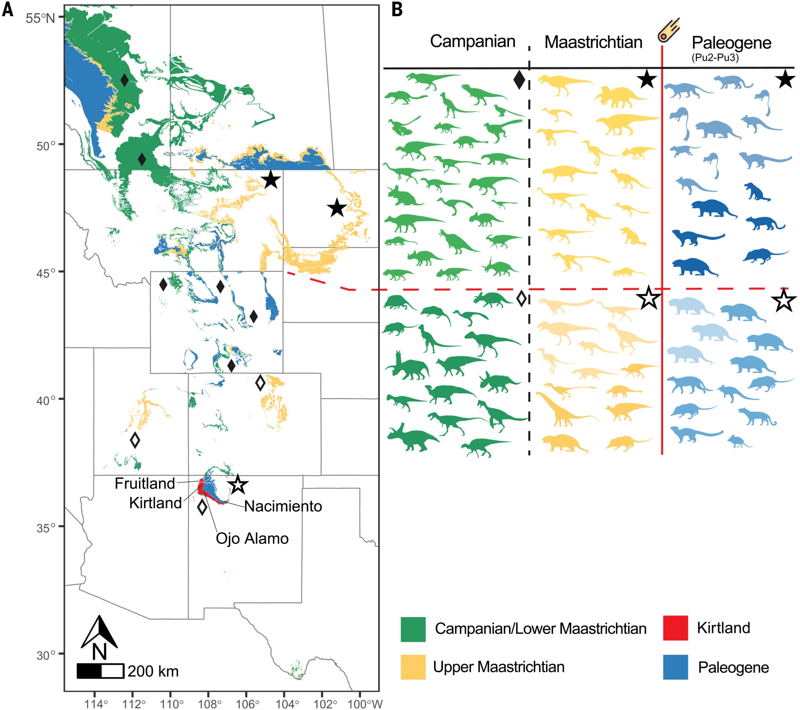 Latest Cretaceous–early Paleogene terrestrial basins in western North America and their faunas.