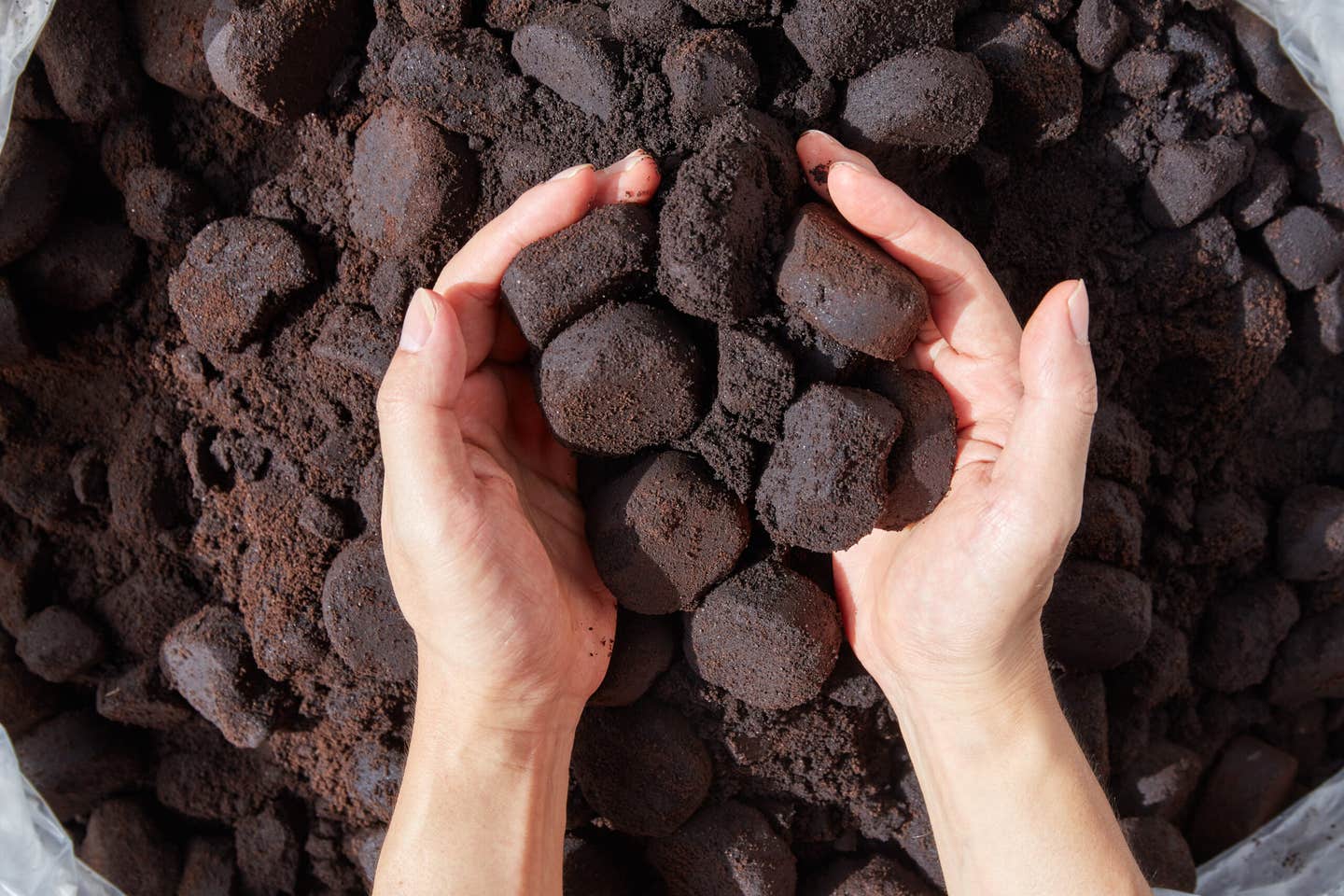 A new patent transforms spent coffee grounds and plastic waste into a sustainable, low-cost material that captures CO2.
