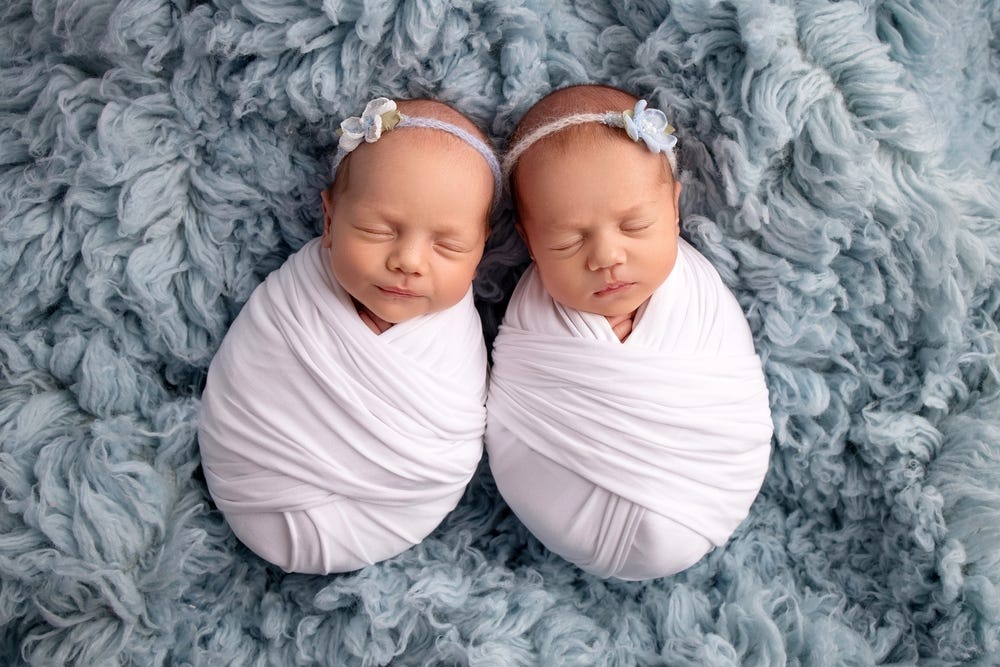 A century’s worth of twin data reveals that when schooling differs, identical twins’ IQs can diverge as much as unrelated people’s