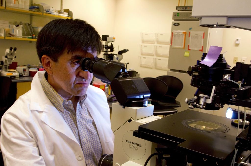 Reproductive biologist Shoukhrat Mitalipov, Ph.D.