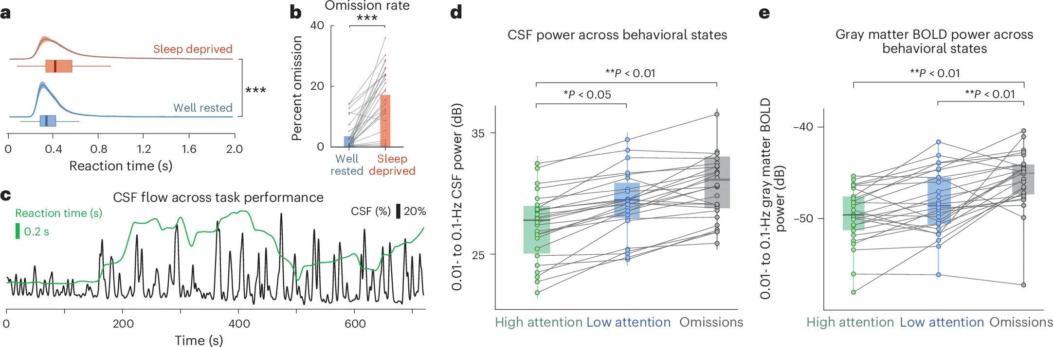 Pulsatile CSF flow dynamics increase during epochs with slower reaction times and attentional failures.