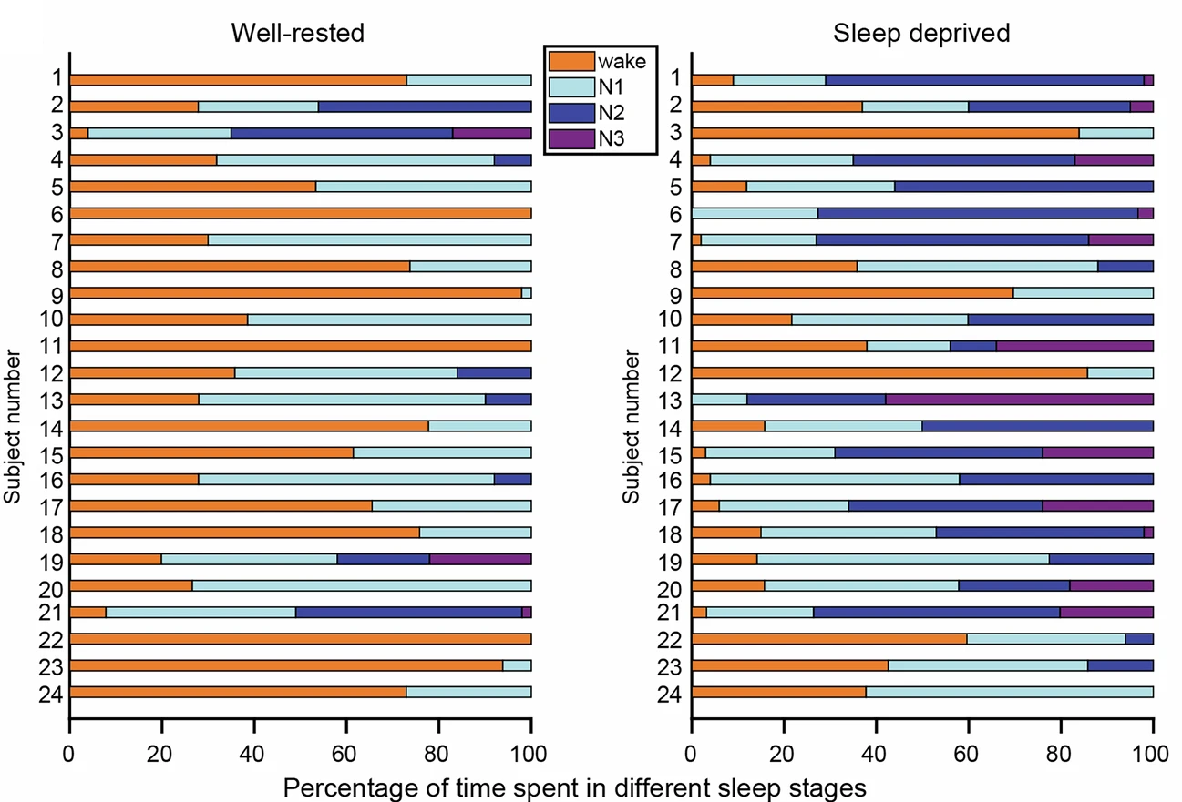 Summary of sleep data and motion across scanning sessions.