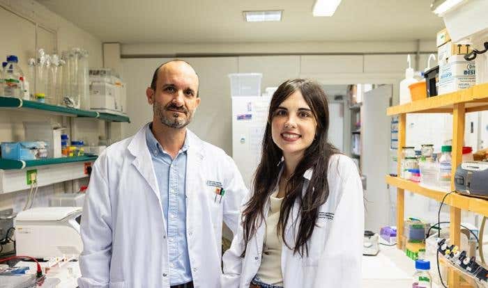 The study is led by Professor Daniel Tornero and researcher Alba Ortega , from the Faculty of Medicine and Health Sciences and the Institute of Neurosciences of the University of Barcelona