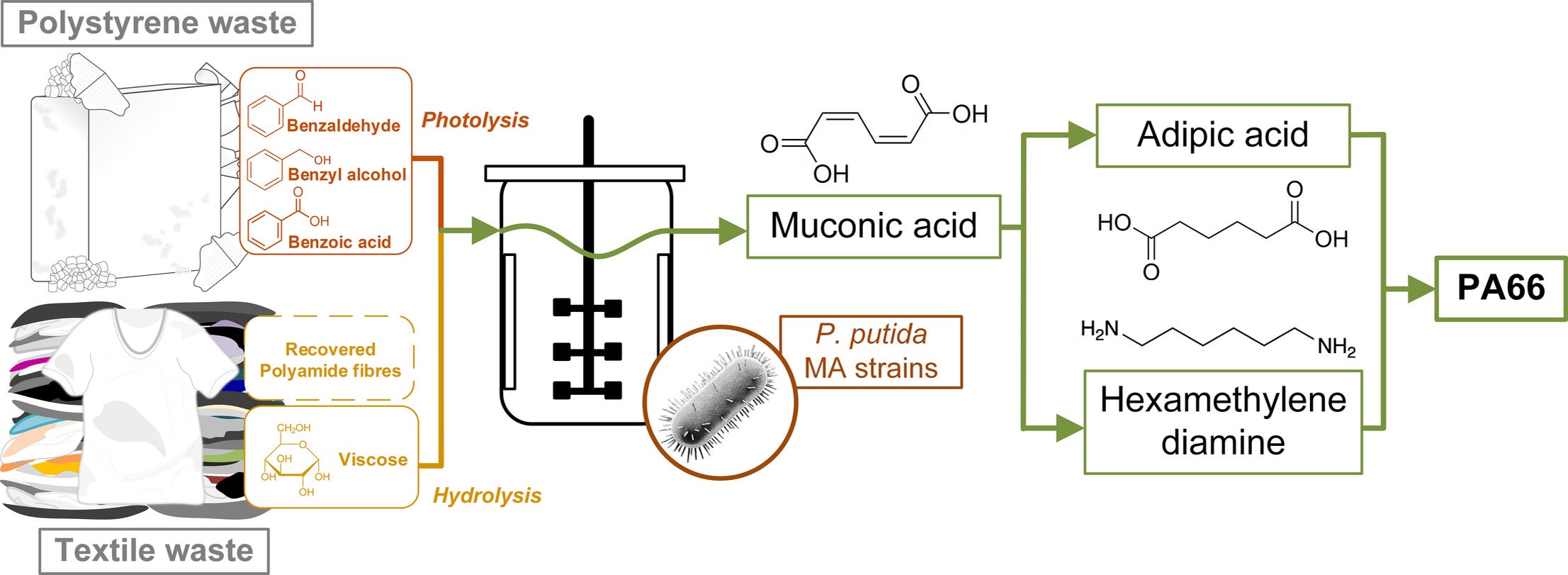 Graphical abstract of polystyrene upcycling. 