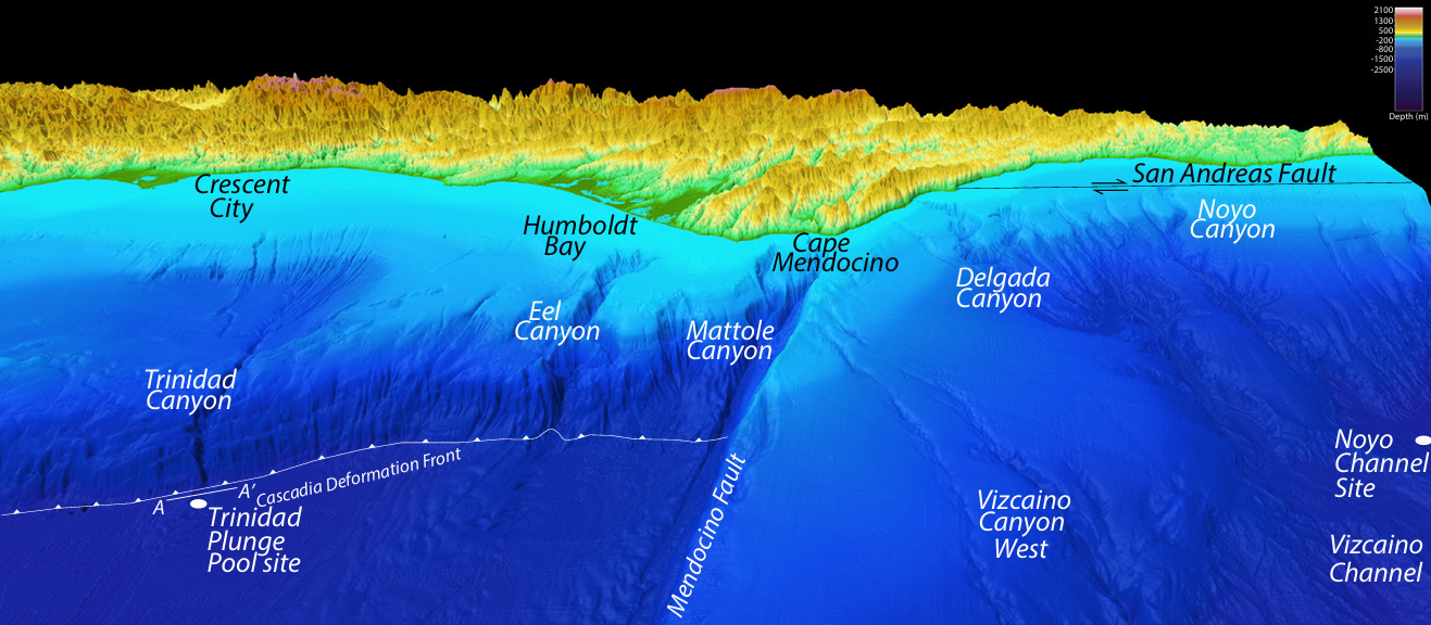  Shaded- relief perspective view of the southern Cascadia subduction zone, the Mendocino triple junction, and northern California 
margin looking northeast.