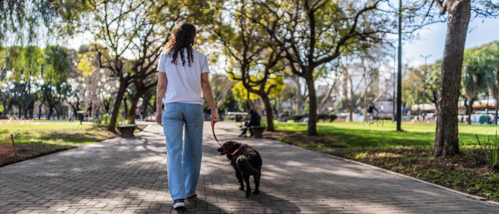 That shady street you like to walk along might be doing more than keeping you cool—it might be keeping you from a nasty fall.