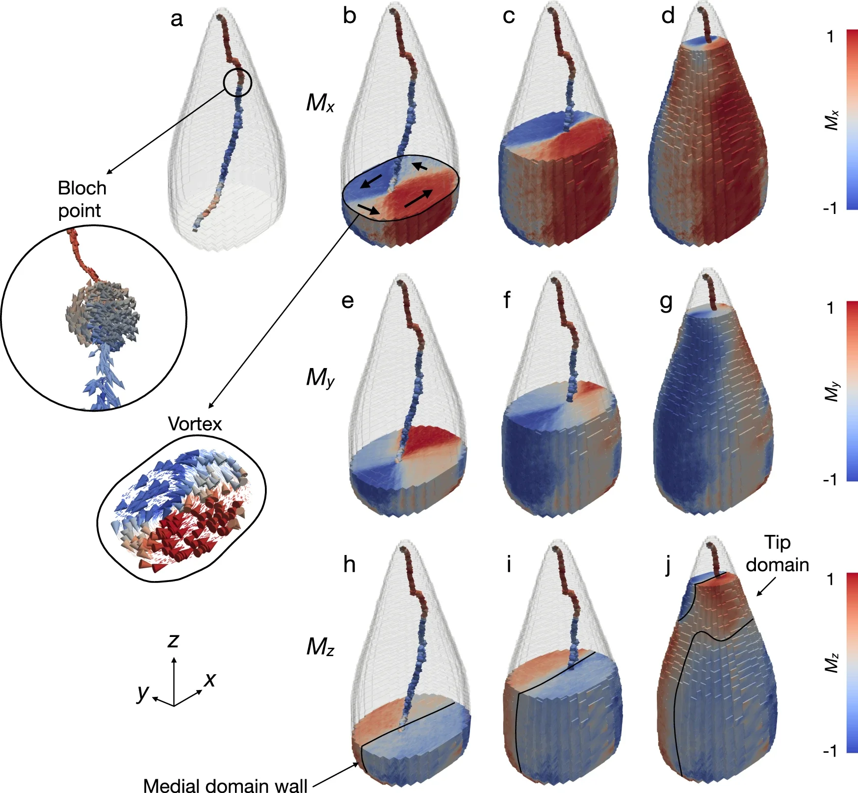 3D magnetic vector tomography of the giant spearhead magnetofossil.
