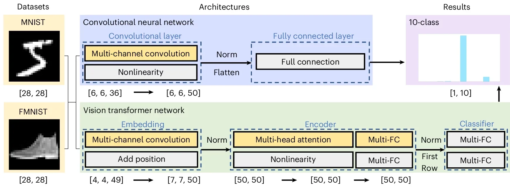 Overview of the complete processing pipelines for the CNN (blue area) and ViT network (green area).