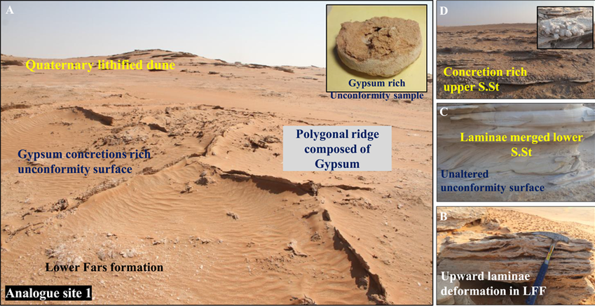 A stratigraphic vertical section of analogue site 1 shows the lower LFF and sulfate‐rich unconformity surface, with an upwelling polygonal ridge and a calcareous lithified dune capping. The evaporative sulfate‐rich drill sample reveals a top layer of gypcrete, formed by late‐stage water activity.