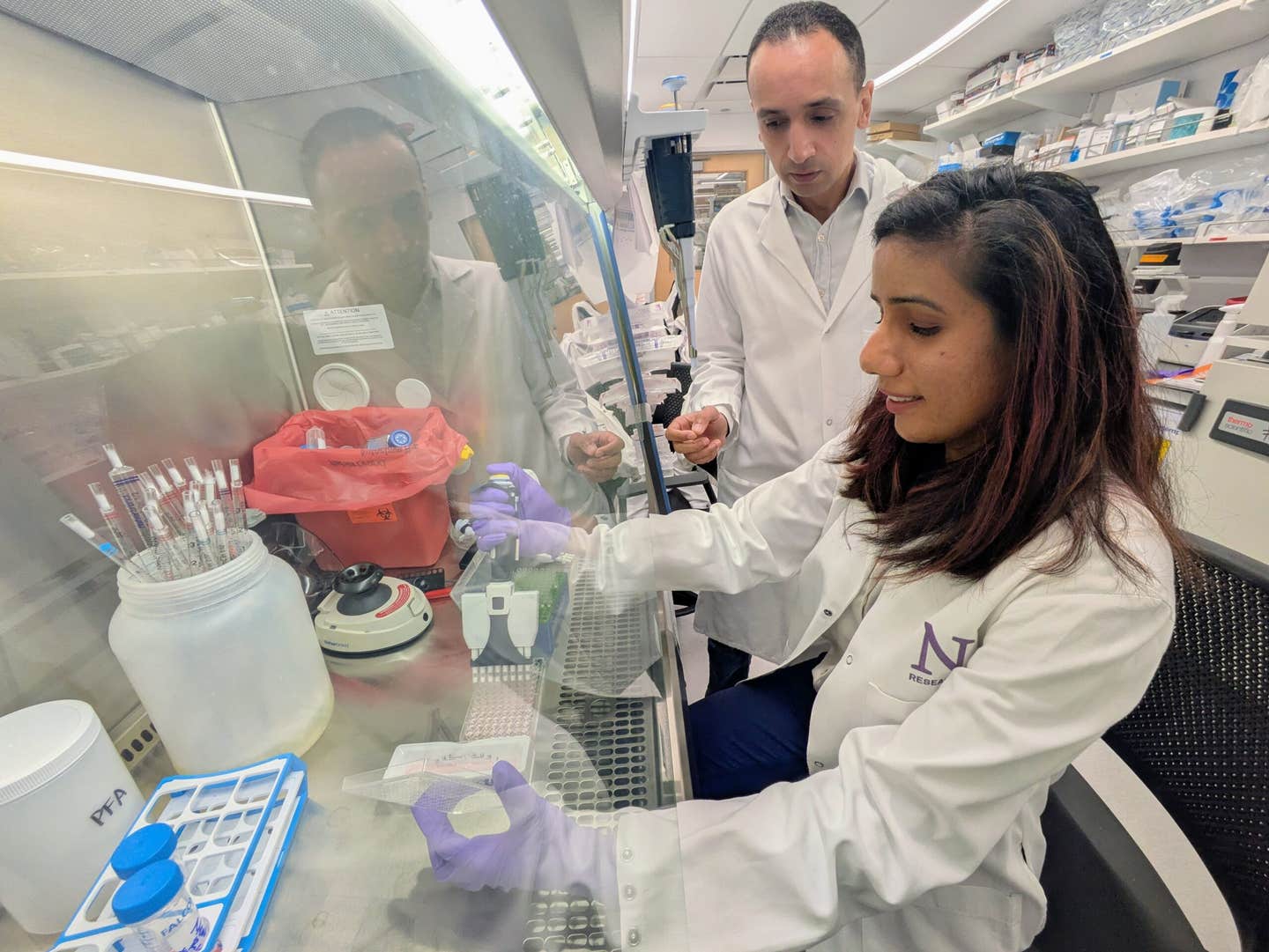 Sugar shield on pancreatic tumors reveals new path for immune-based treatment. Study authors Abdel-Mohsen and Saini in Abdel-Mohsen's lab.